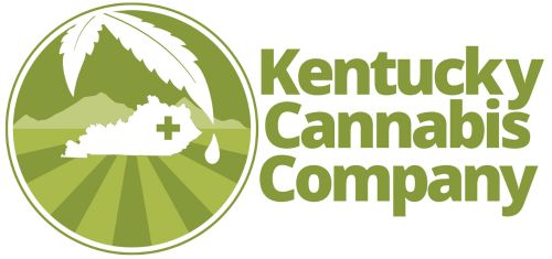 Batch CBD Oil