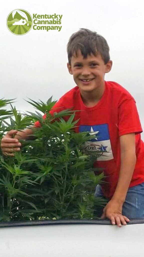 colten-polyniak-high-cbd-hemp-truck (1) Colten Polyniak sitting in the back of a truck with his arm around a bunch of high-CBD hemp plants, representing the premium hemp used for Batch CBD Oil.