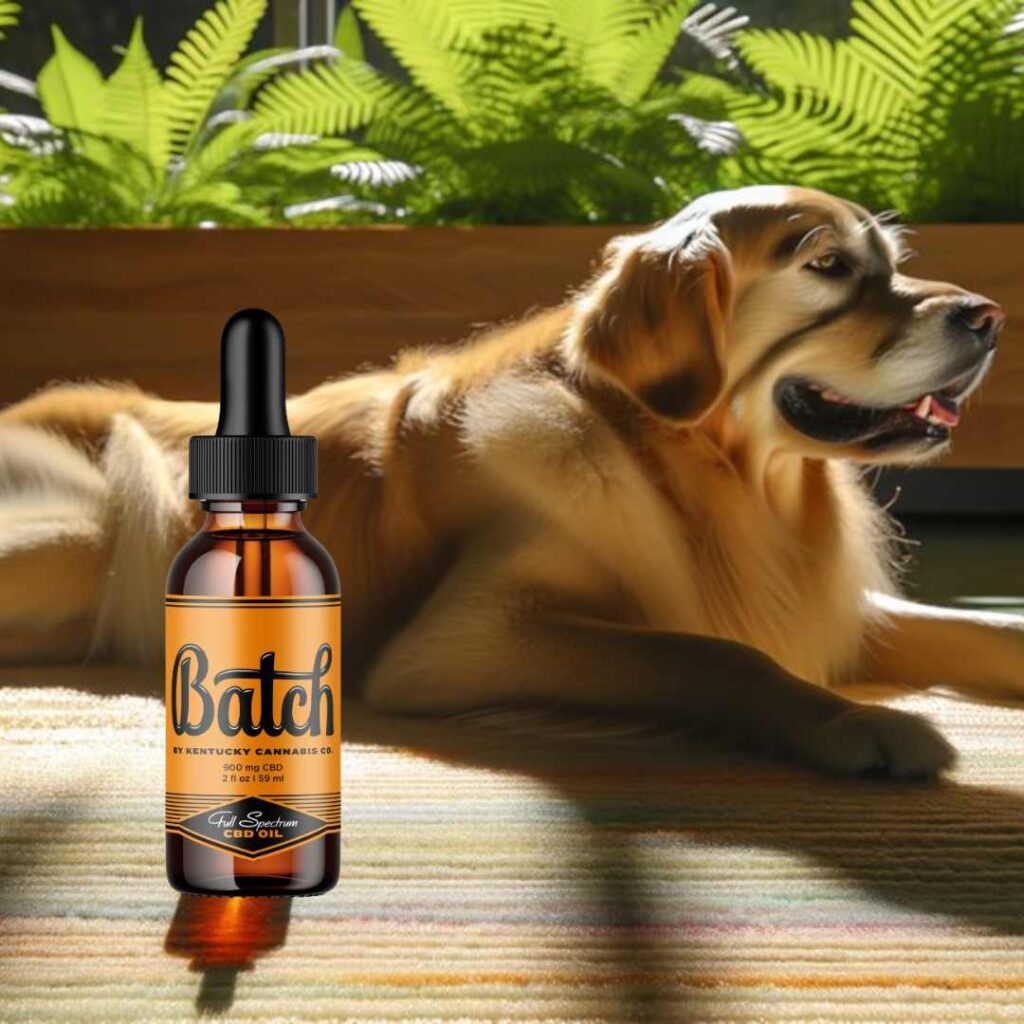 dog-laying-with-batch-cbd-oil A relaxed dog lying down next to a bottle of Batch CBD Oil from The Kentucky Cannabis Company